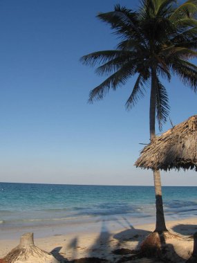 Küba 'da bir paradisial plajın manzarası