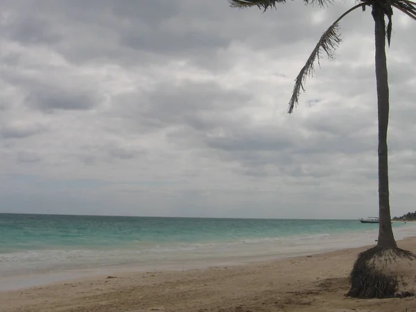 Landscape Paradisiacal Beach Cuba — ストック写真