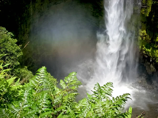 Akaka Falls Big Island Hawaii Waterfall Rainbow Ferns — Stock Fotó
