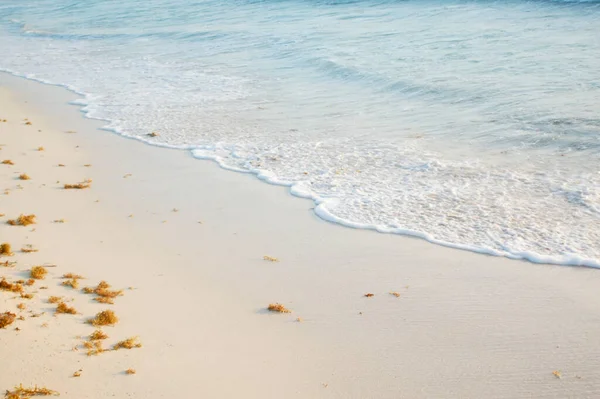 Софт Оушен Плавает Песчаном Пляже — стоковое фото
