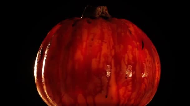 Кровавая Голова Тыквы Хэллоуин Льется Кровью — стоковое видео