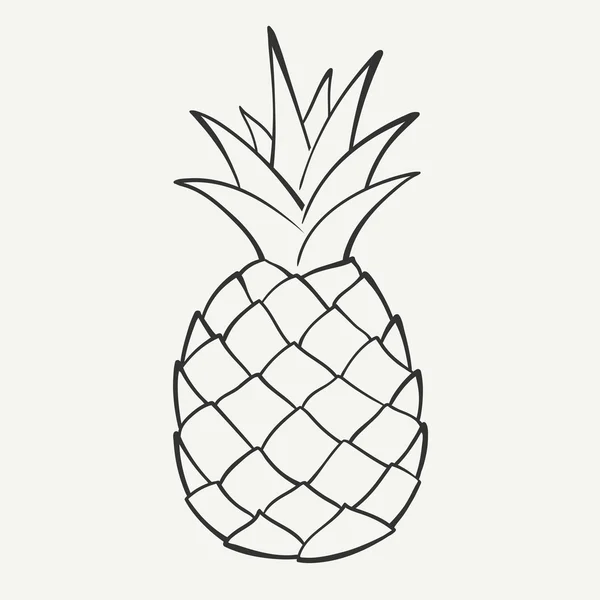 Pineapple — Stock Vector