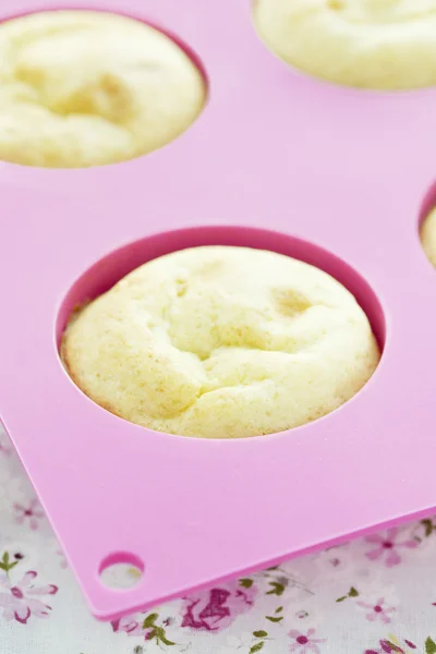 Muffin de requesón con menta . —  Fotos de Stock