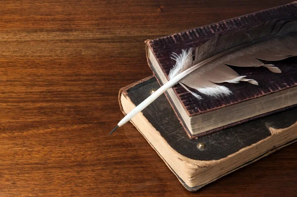 Eski kitaplar ve bir dolma kalem 