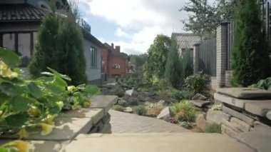 Metal profilden yapılmış modern bir çitin arka planında güzel thuja occidentalis.