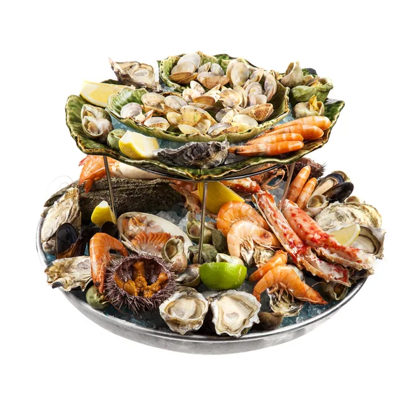 Raw Mixed seafood — Stock Photo, Image