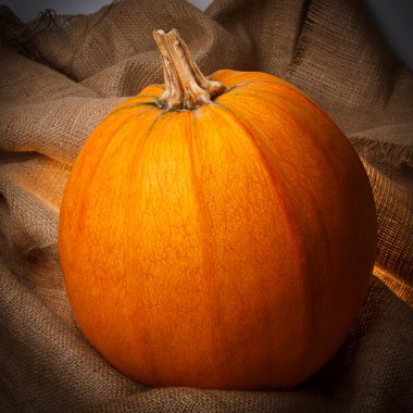 Turuncu üzerinde çul kabak