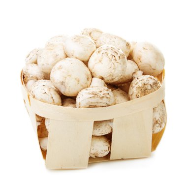 Beyaz bir arka plan üzerinde mezarda champignon