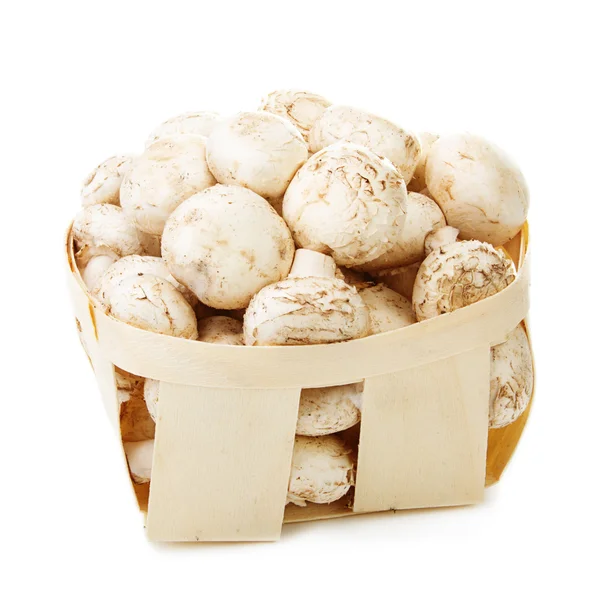 Champignon in a wooden box on a white background — Stock Photo, Image