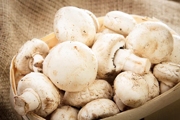 Champignon in a wooden box on sacking. Close-up.