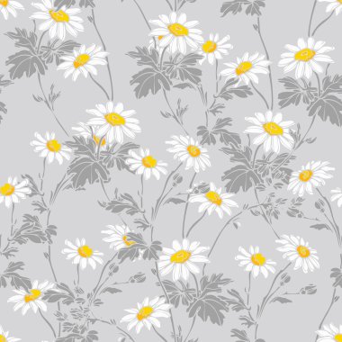 Güzel papatya sorunsuz arka plan