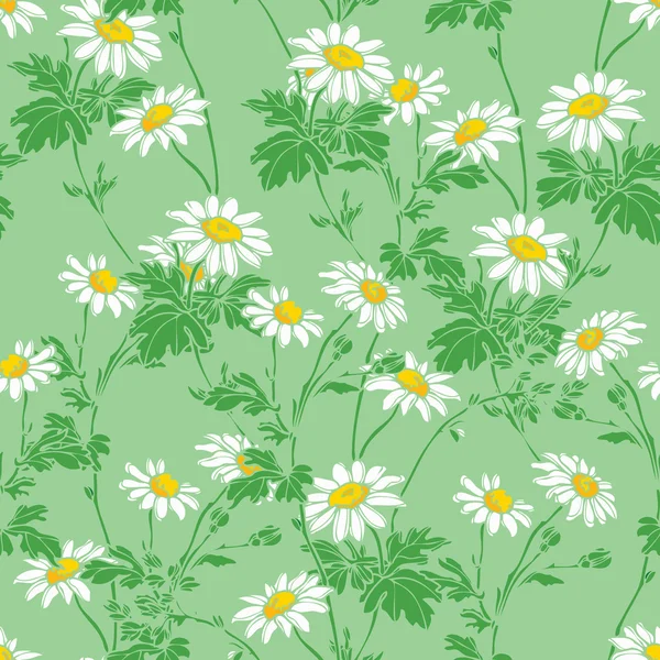 Summer chamomile flowers pattern — Stock Vector