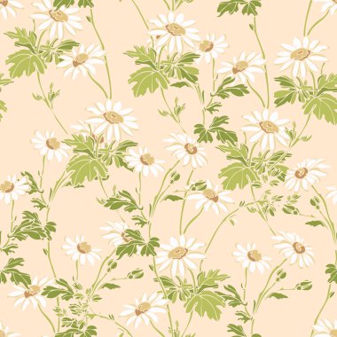 Yaz papatya çiçek deseni