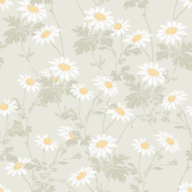 Yaz chamomiles çiçek deseni