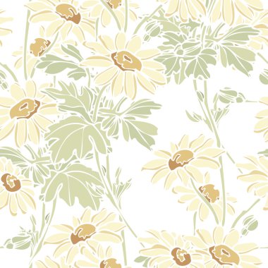 Yaz chamomiles çiçek deseni