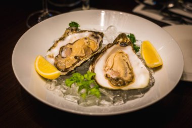 Buz yatağında iki dilim limonla servis edilen iki çiğ taze istiridye.