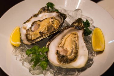 Buz yatağında iki dilim limonla servis edilen iki çiğ taze istiridye.