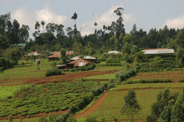 Afrikanska landsbygdens landskap — Stockfoto
