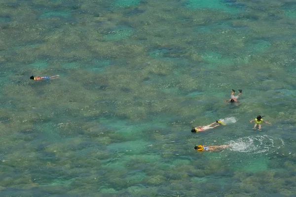 Snorkelers over coral reef in shallow tropical bay — Stock Photo, Image