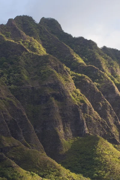 Bergsryggen på Hawaii — Stockfoto