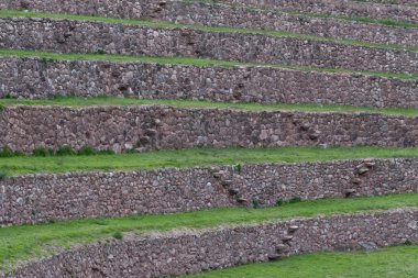 Yeşil terraces adlı Moray