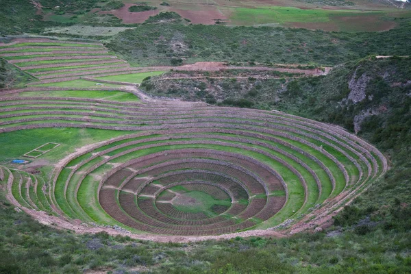 Yeşil terraces adlı Moray — Stok fotoğraf
