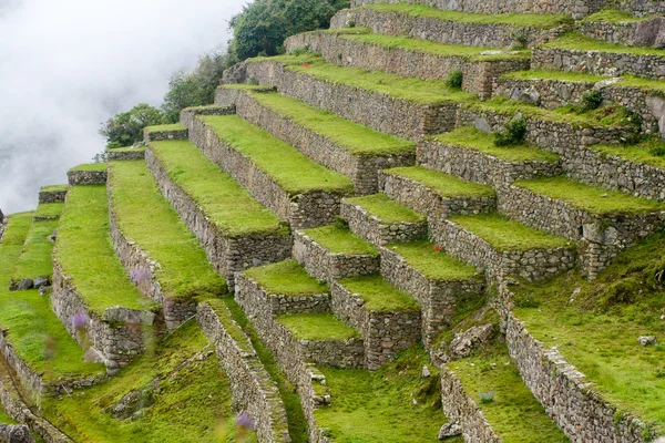 Landwirtschaftliche Terrassen an Hängen des Machu Picchu — Stockfoto