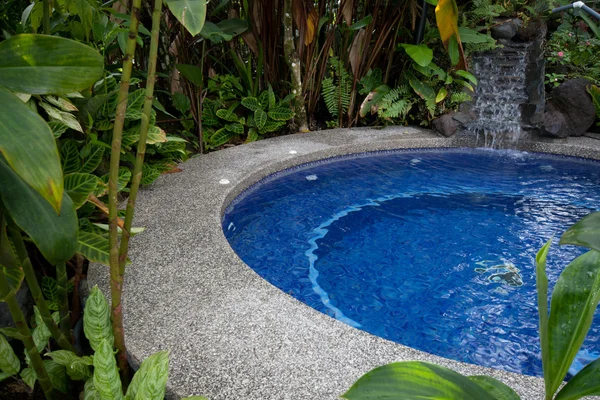 Swimming pool in jungle — Stock Photo, Image