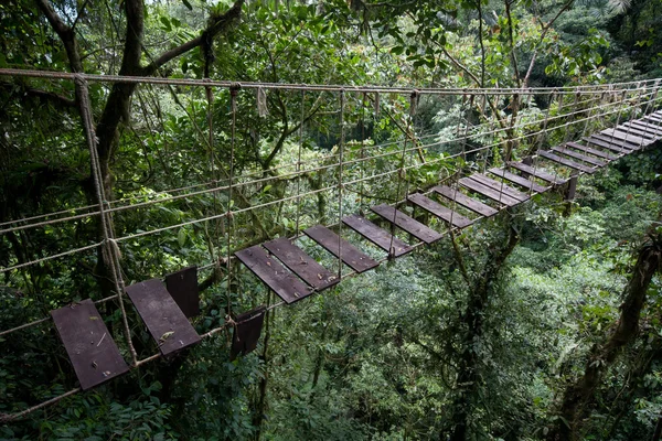 Old suspension bridge in rainforest — Stock Photo, Image