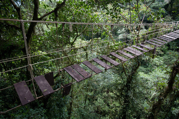 Old suspension bridge in rainforest