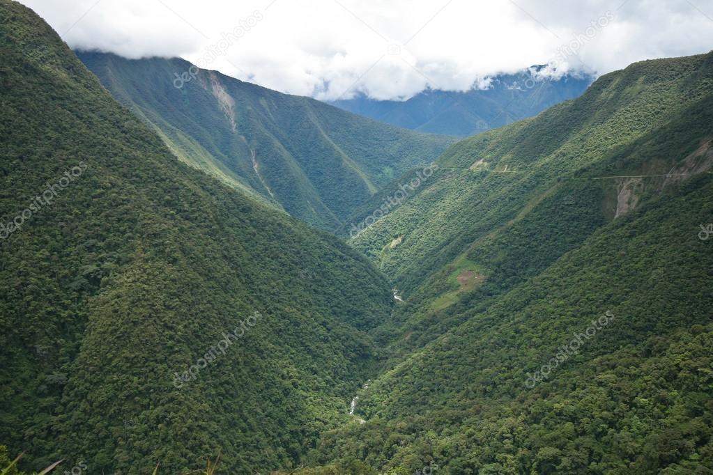 Rainforest in Bolivian Andes