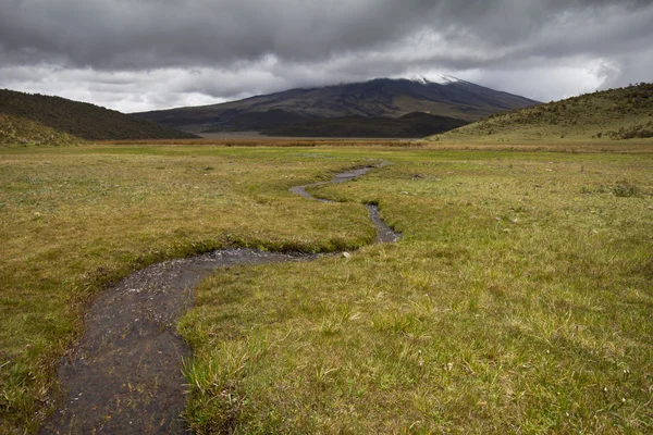 Parque Nacional Cotopaxi en Ecuador —  Fotos de Stock