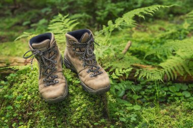 Turist ayakkabı bir kavram ve fikir olarak