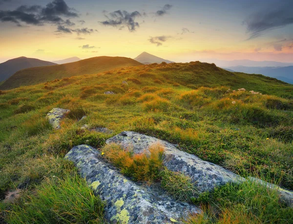Yaz aylarında dağ manzarası