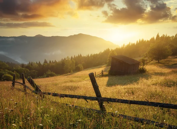 Natuurlijke zomerlandschap — Stockfoto