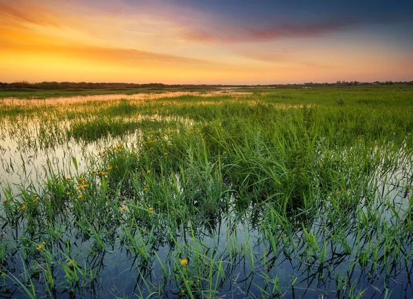 Tramonto sul lago in estate — Foto Stock