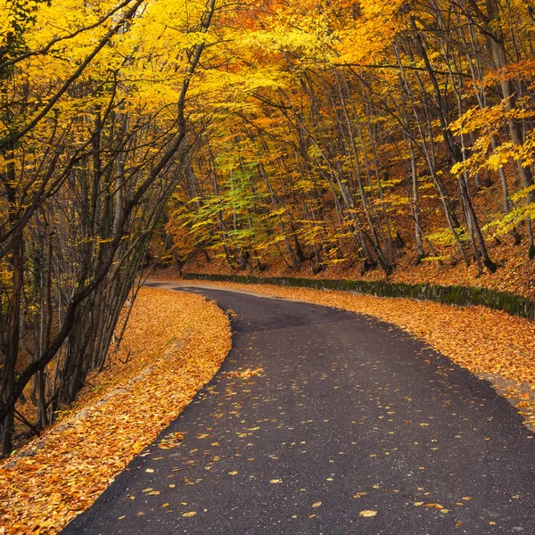 Schöne Naturlandschaft in der Herbstzeit — Stockfoto