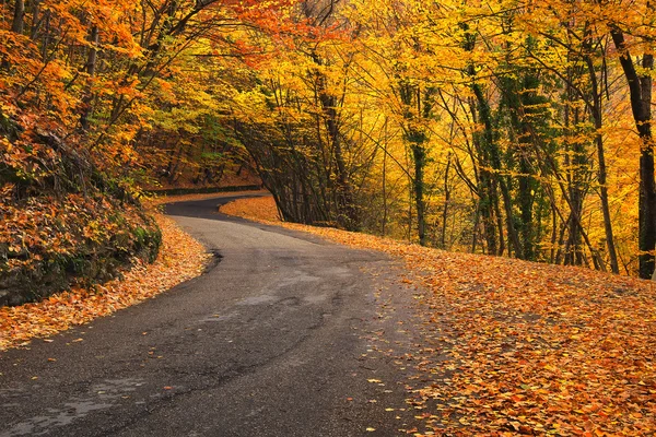 Prachtige natuurlijke landschap in de herfst tijd — Stockfoto