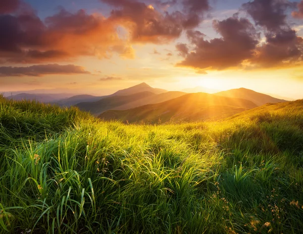 Гірська долина під час сходу сонця — стокове фото