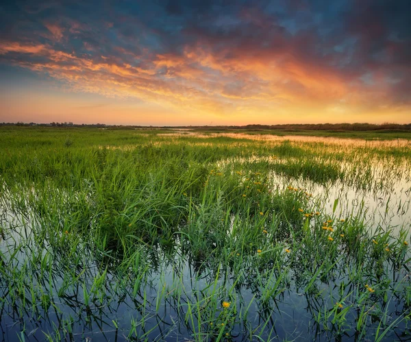 Zonsondergang op meer in de zomer — Stockfoto