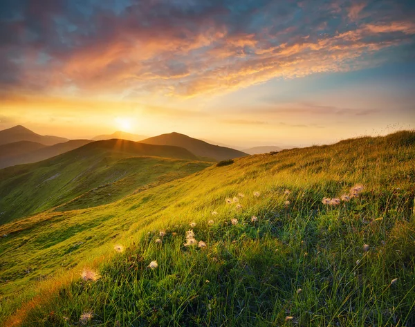 Härligt berg äng — Stockfoto