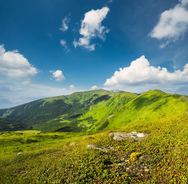 Mooie zomerse bergen — Stockfoto