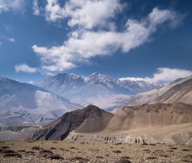 dağa vadide yaz saati. 