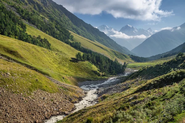 Rivière et hautes montagnes . — Photo