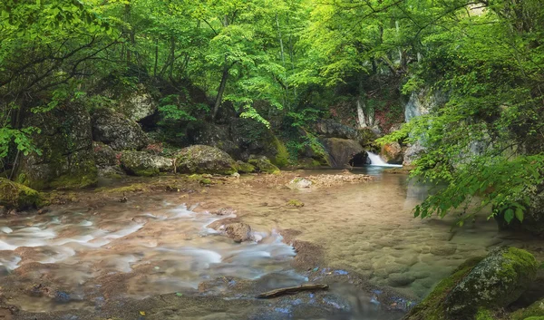 Řeka v kaňonu v létě. — Stock fotografie