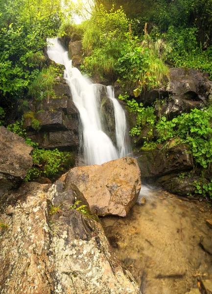 Cachoeira no desfiladeiro de verão — Fotografia de Stock