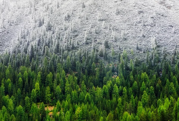 Mountain Panorama Dolomite Alps Italy Forest Mountains Autumn Winter Time — Stock Photo, Image