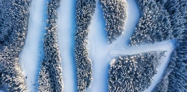 滑雪场斜坡上的空中景色 森林和滑雪斜坡从空中升起 来自无人机的冬季景观滑雪场的雪景 空中摄影 — 图库照片