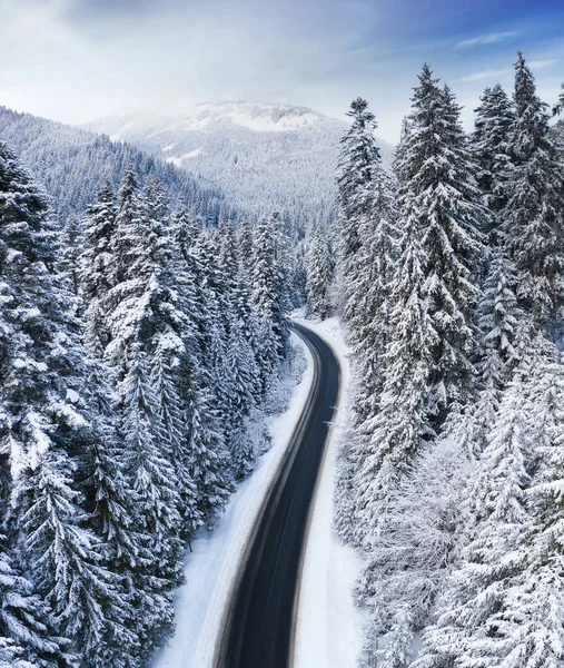 冬季公路和森林的空中景观 来自空中的冬季自然景观 森林被雪覆盖了 无人机的景观 — 图库照片