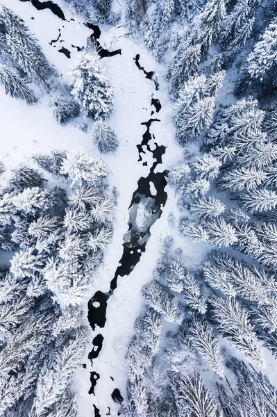 冬の寒さ 空気から自然の冬の風景 冬の時間で川や森の空中ビュー 雪の下の森 空気からの風景 — ストック写真